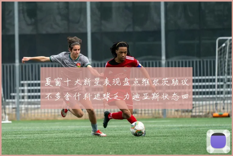 夏窗十大新星表现盘点维尔茨助攻不多舍什科进球乏力迪亚斯状态回暖