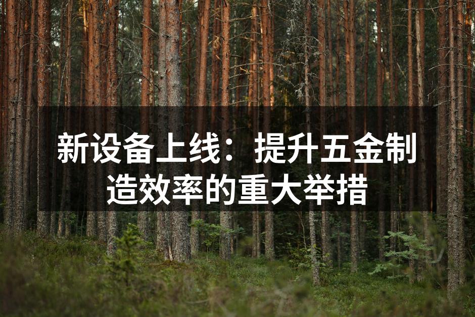 新设备正式上线，助力生产效率提升
